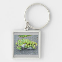 Hens & Chicks in Training (shoe) ~ keychain 2