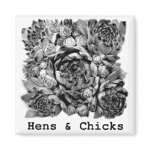 Hens & Chicks Fridge Magnets