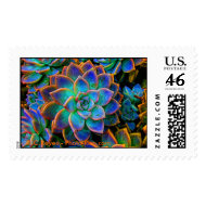Hens & Chicks stamp