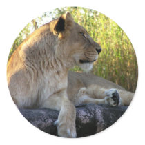 Her Majesty: The Lioness Stickers by kerstitch Her Majesty: The Lioness Stickers