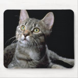 Her Master's Voice Mouse Pads