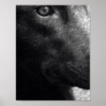 Her Watchful Eye Print