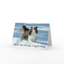 Herald Sheltie cards