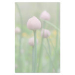 Herb Garden - Chive Buds Stationery Paper