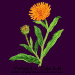 Herb Garden Series - Marigold