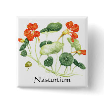 Herb Garden Series - Nasturtium buttons