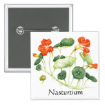Herb Garden Series - Nasturtium Pins