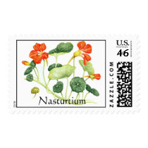 Herb Garden Series - Nasturtium postage