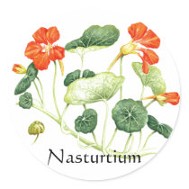Herb Garden Series - Nasturtium stickers by Spice Herb Garden Series - Nasturtium stickers