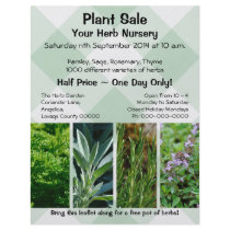Herb plants promotional sales flyer