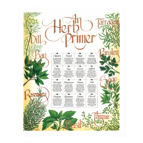 Herb Primer Print