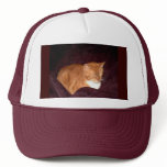 Herbie the Orange Marmalade Cat hats