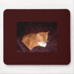 Herbie the Orange Marmalade Cat mousepads