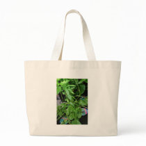 Herbs bags by amjon1 Herbs bags
