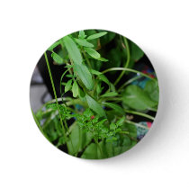 Herbs buttons by amjon1 Herbs buttons