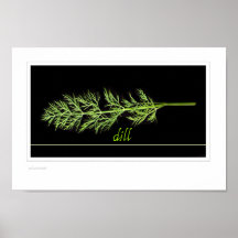 herbs - dill small print