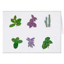 Herbs in watercolour card
