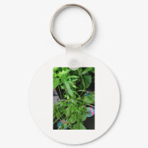 Herbs keychains by amjon1 Herbs keychains