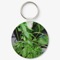 Herbs keychains by amjon1 Herbs keychains