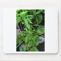 Herbs mousepads