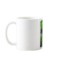 Herbs mugs