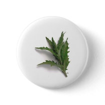 Herbs n spices buttons by Kolnza_Healing Herbs n spices buttons
