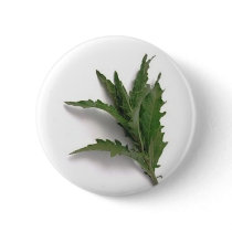 Herbs n spices buttons by Kolnza_Healing Herbs n spices buttons