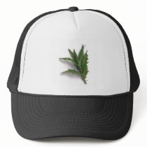 Herbs n spices hats by Kolnza_Healing Herbs n spices hats