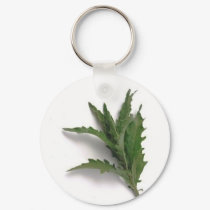 Herbs n spices keychains by Kolnza_Healing Herbs n spices keychains