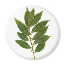 Herbs n spices magnets by Kolnza_Healing Herbs n spices magnets