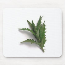 Herbs n spices mousepads