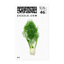 Herbs n spices postage