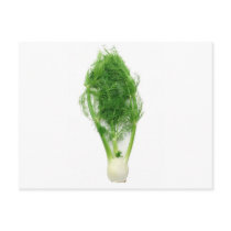 Herbs n spices postcards