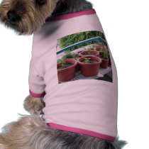 Herbs Spices Peppers Home Garden pet clothing