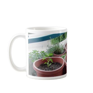 Herbs Spices Peppers Home Garden mug