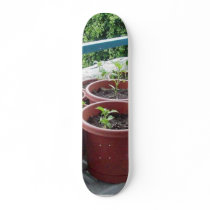 Herbs Spices Peppers Home Garden skateboards