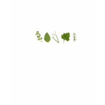 herbs tee t-shirts by heidiinc herbs tee t-shirts