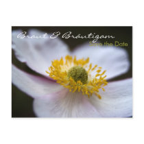 Herbstanemone • Save the Date Postkarte postcards