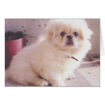 Hercules as a puppy card