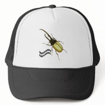Hercules Beetle Hats