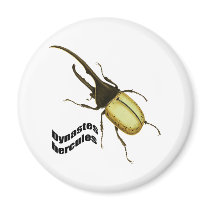 Hercules Beetle Fridge Magnets