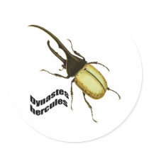 Hercules Beetle Round Stickers