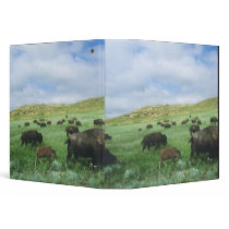 Herd of bison graze prairie grass at Theodore 3 Ring Binders