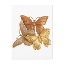 Herd of Butterflies postcards