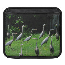 Herd of Heron ~ iPad Sleeve