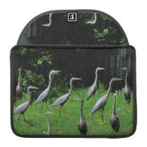 Herd of Heron ~ MacBook Flap Sleeve