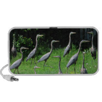 Herd of Heron ~ Speaker