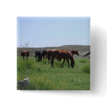 Herd of Horses - Logan County, Kansas buttons by jhimages Herd of Horses - Logan County, Kansas buttons