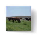 Herd of Horses - Logan County, Kansas Pinback Button