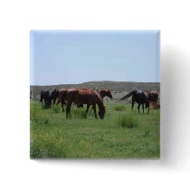 Herd of Horses - Logan County, Kansas buttons by jhimages Herd of Horses - Logan County, Kansas buttons
